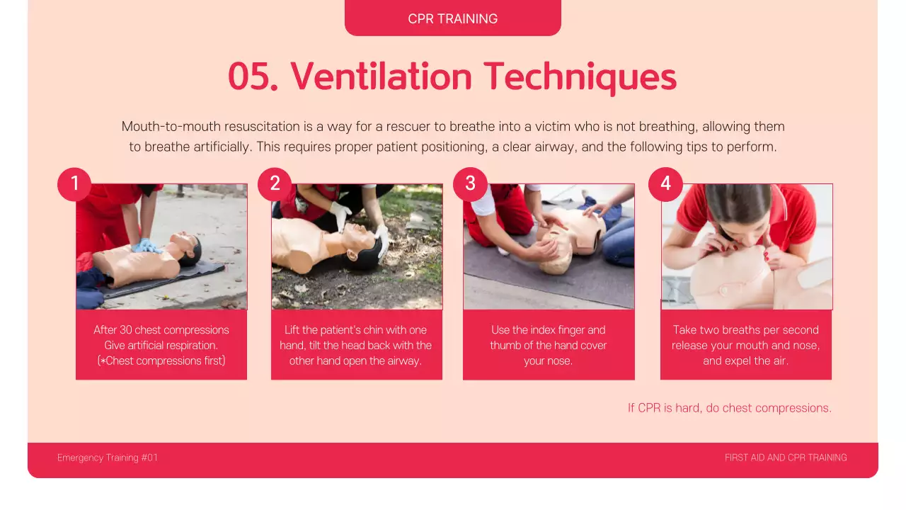 Red Professional CPR 가이드 프레젠테이션