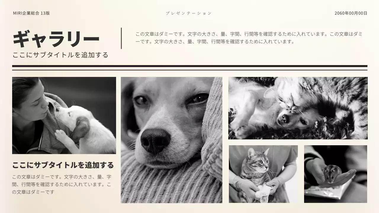 白黒 シンプル ペット 資料 プレゼンテーション