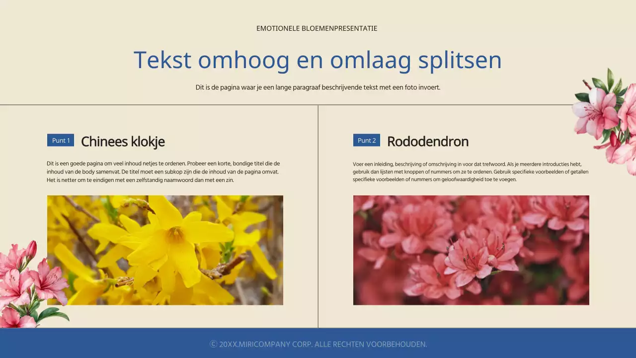 Eenvoudige en sentimentele lentebloemen in blauw en ivoor