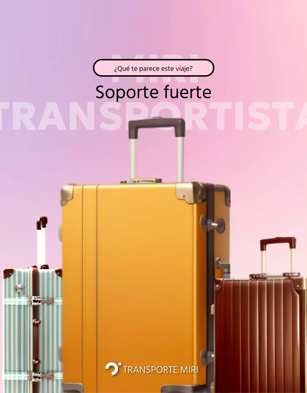 Puesto de venta de maletas sencillas de color rosa y malva