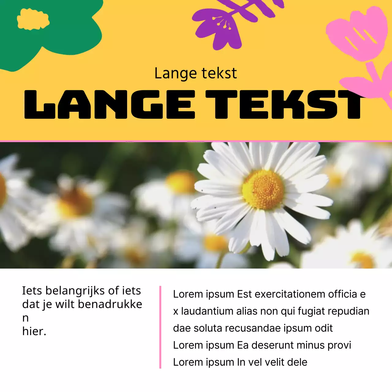 Een gids voor mooie lentebloemen in geel en roze