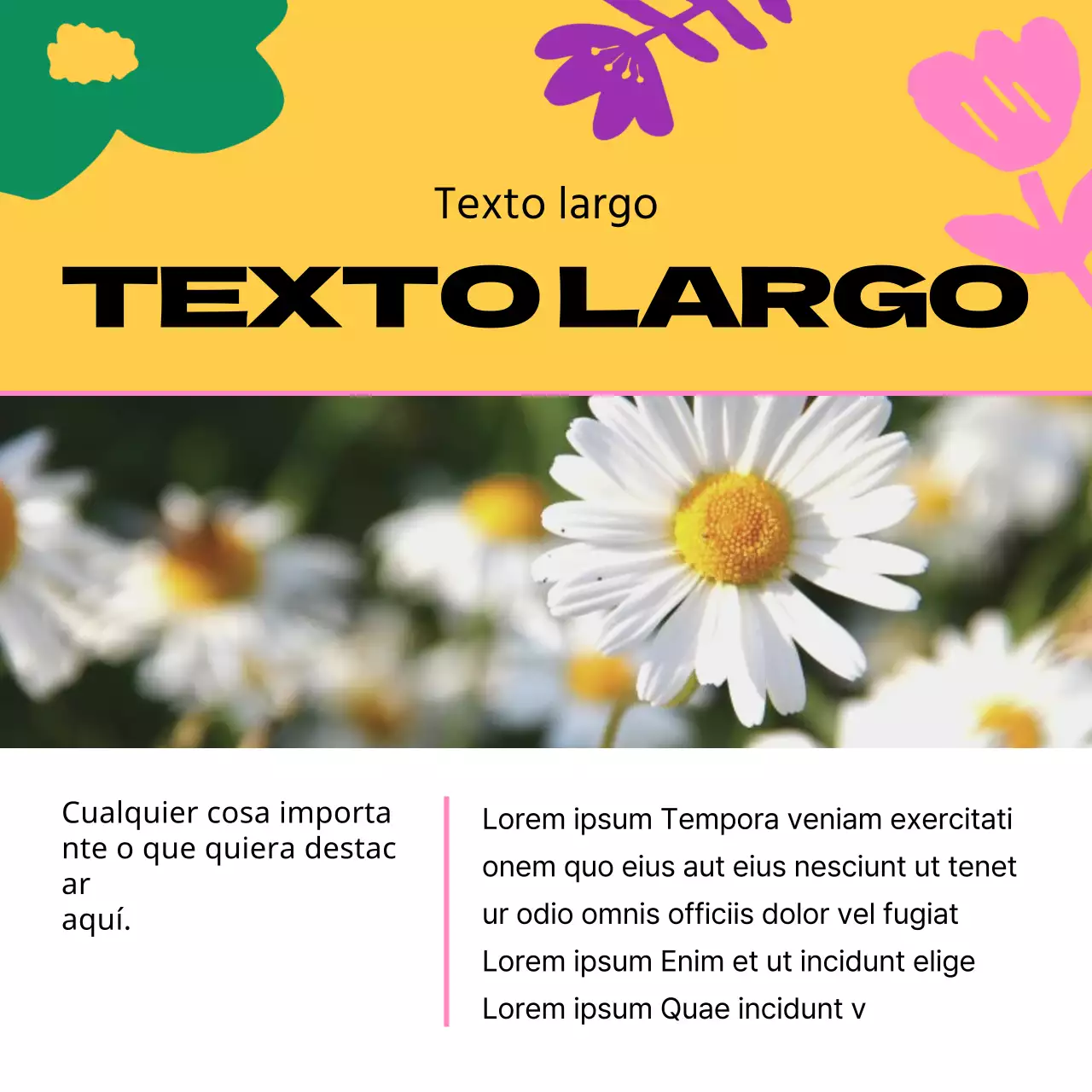 Guía de bonitas flores de primavera en amarillo y rosa