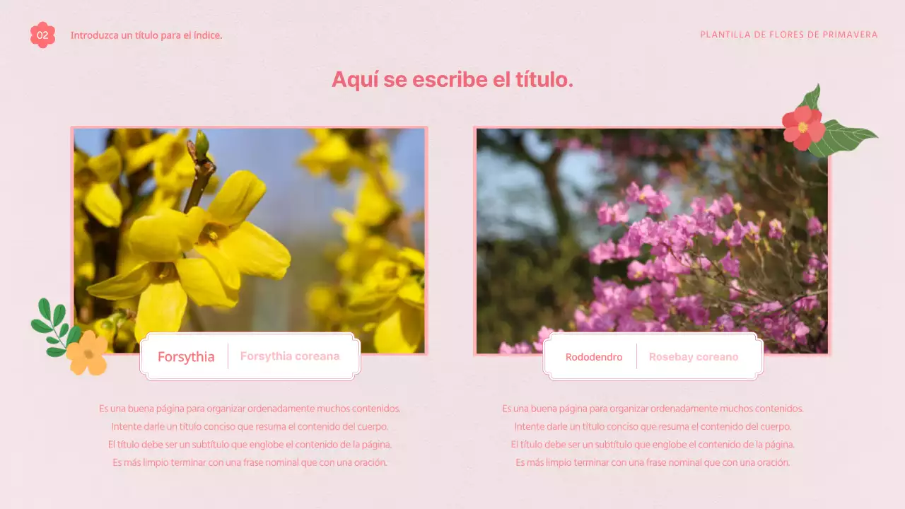 Propuesta de plantilla con bonitas flores primaverales en rosa y blanco