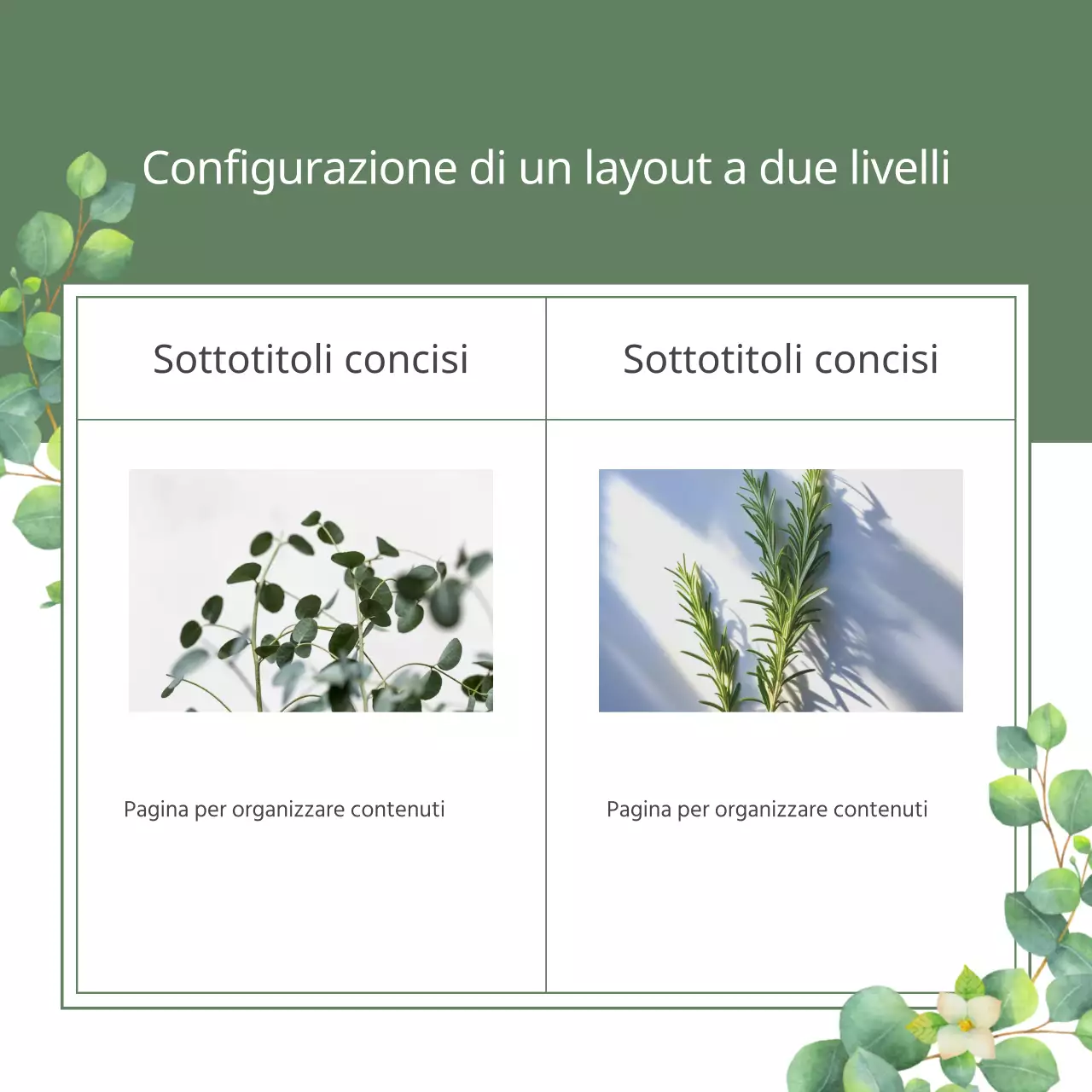 Un'illustrazione botanica con un'atmosfera verde e naturale di primavera Spiegato