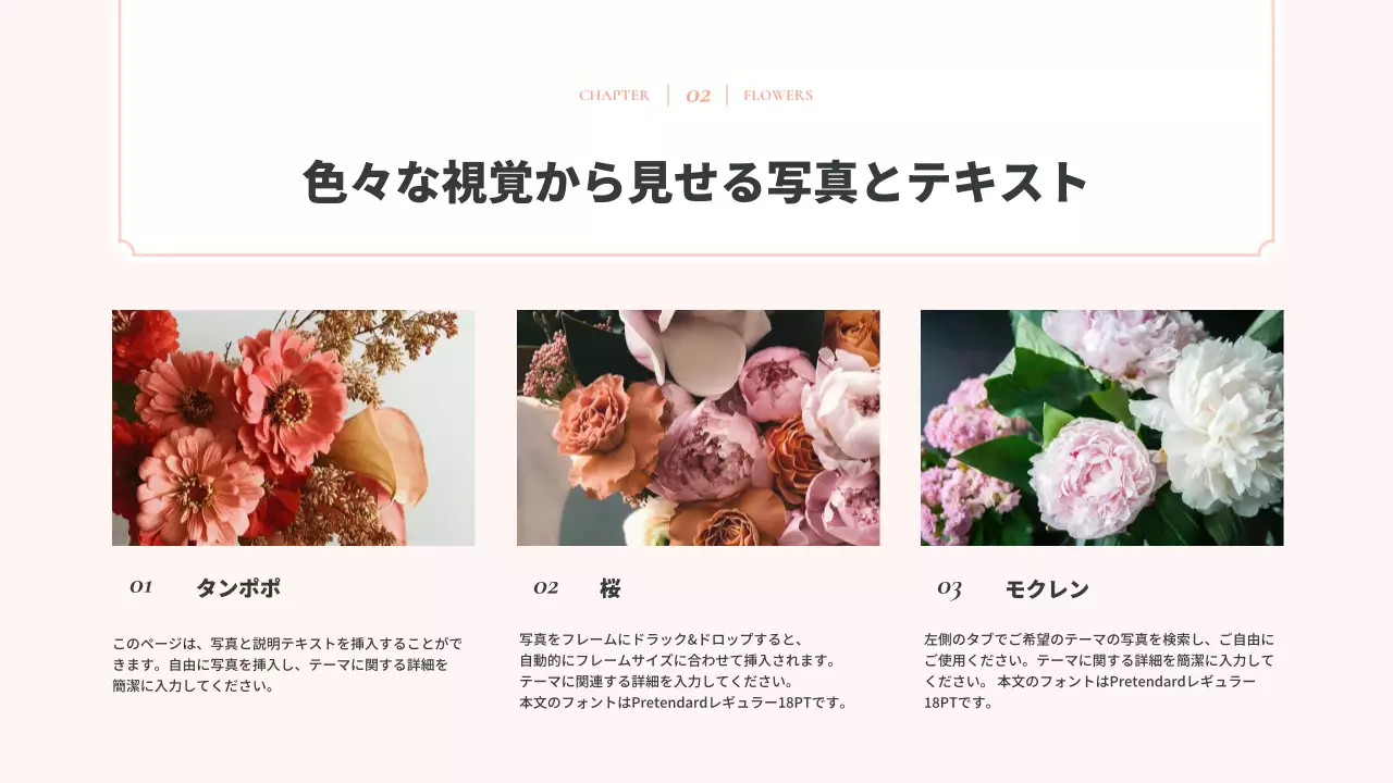ピンクとアイボリーの上品な水彩画の花の背景企画書