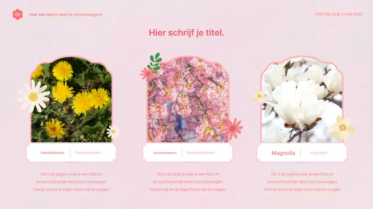 Sjabloonvoorstel met mooie lentebloemen in roze en wit