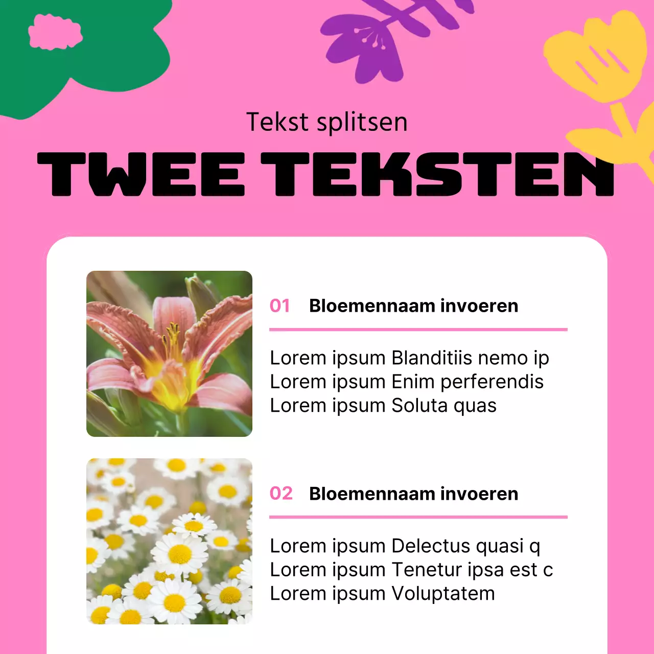 Een gids voor mooie lentebloemen in geel en roze