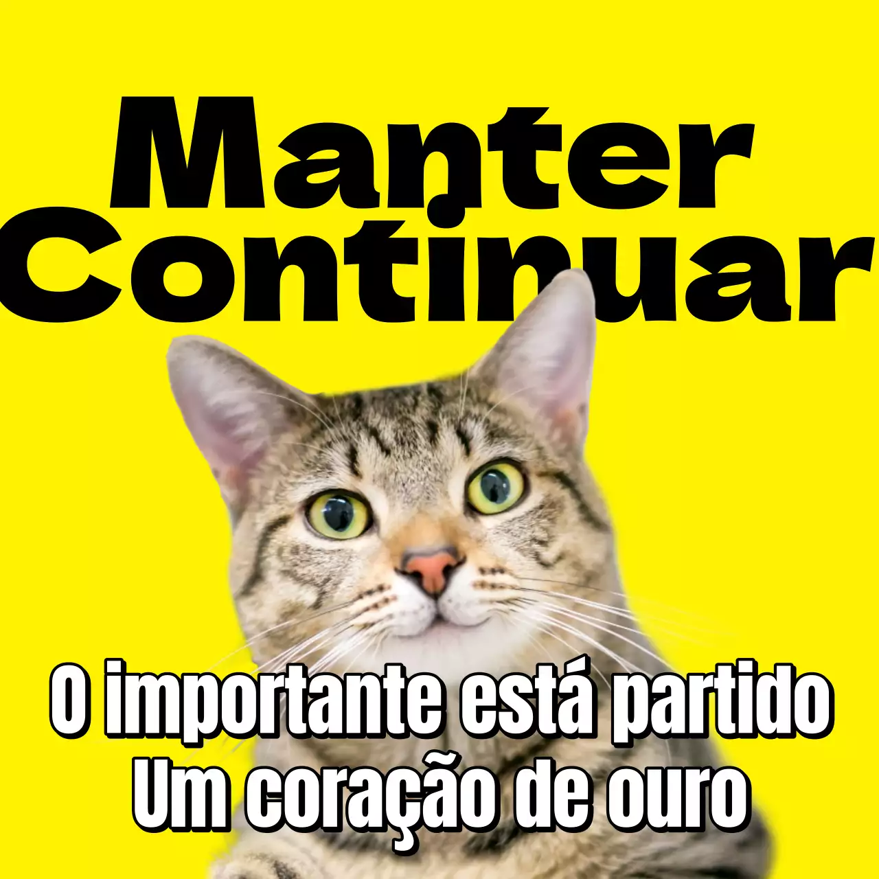 Tuíte de meme amarelo e preto