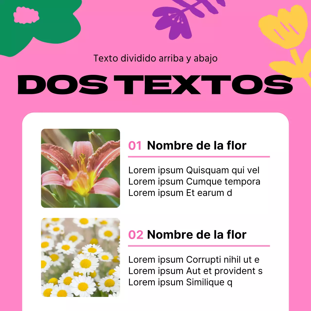 Guía de bonitas flores de primavera en amarillo y rosa