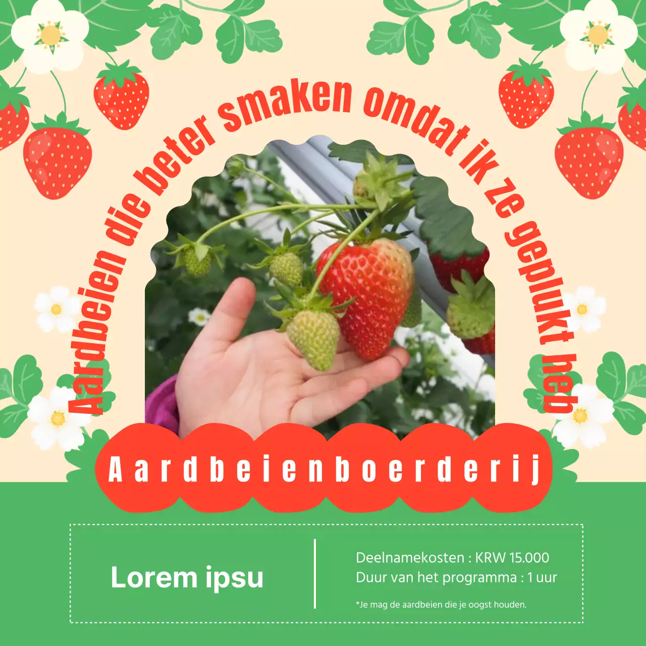 Promoot rode en groene aardbeien plukboerderijen