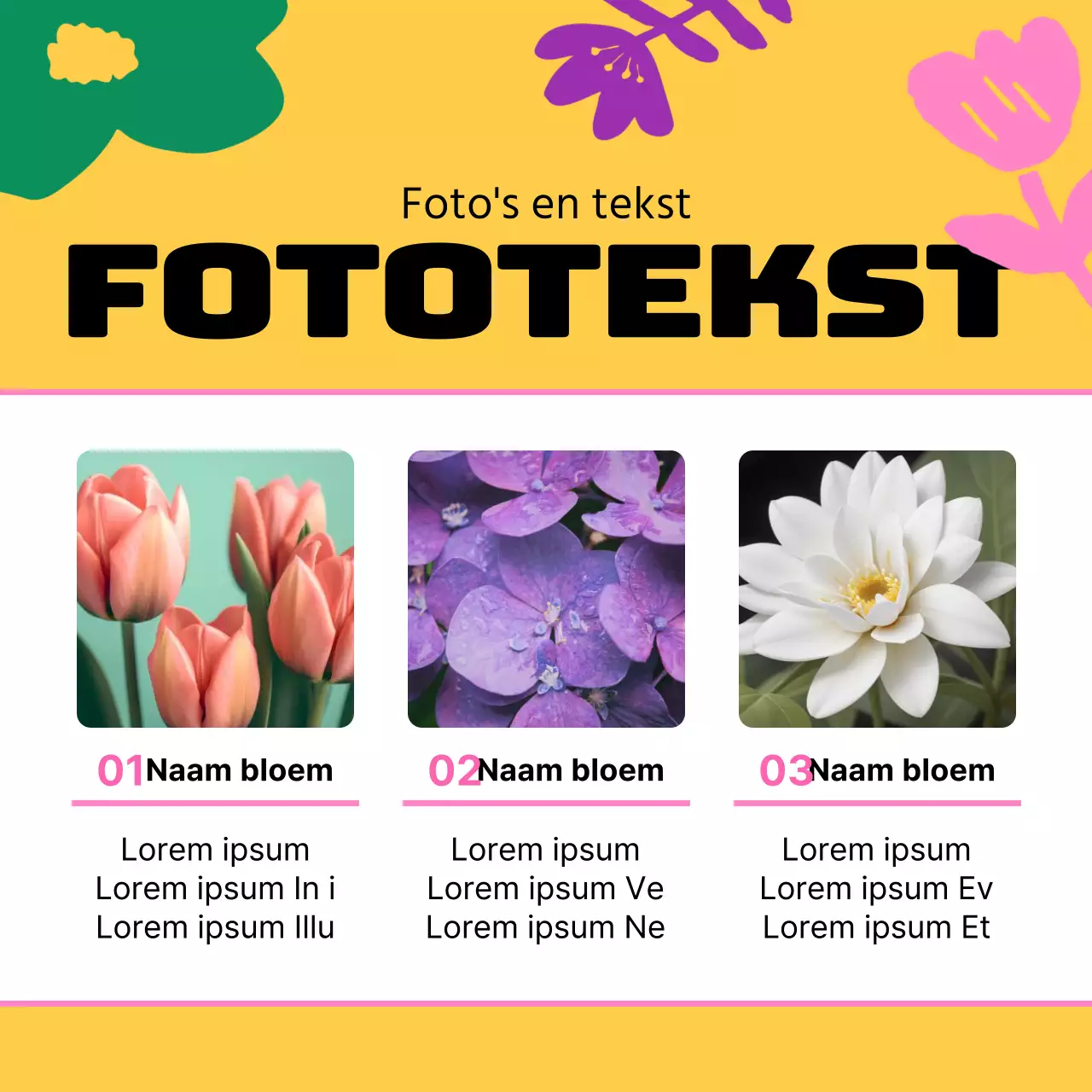 Een gids voor mooie lentebloemen in geel en roze