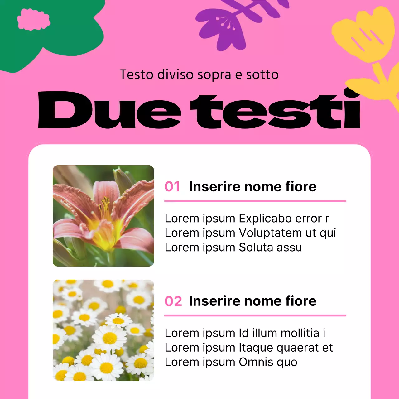 Una guida ai bei fiori primaverili in giallo e rosa