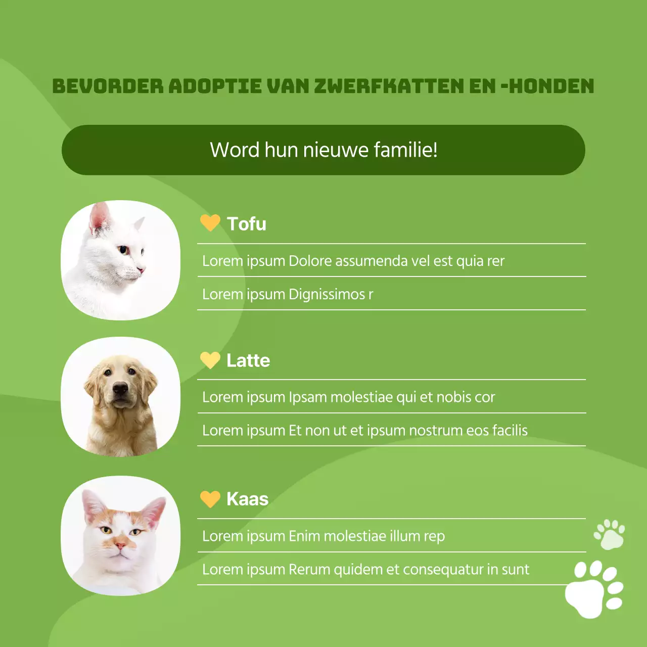 Promoot je adoptiecentrum in oranje en schattige stijl