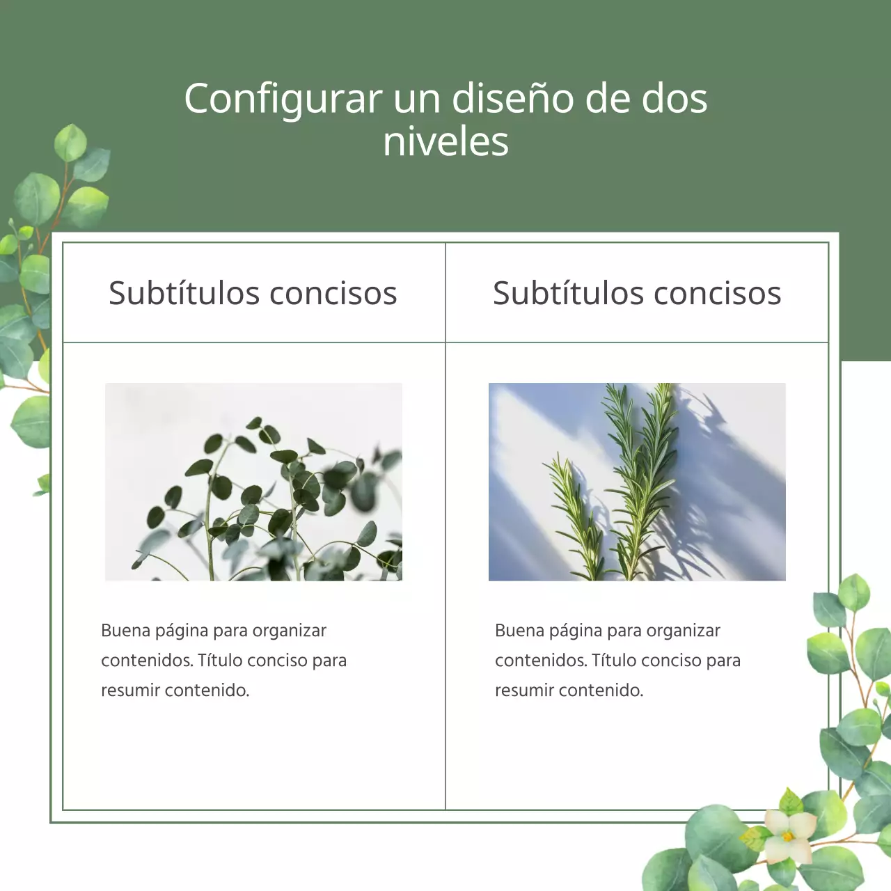 Una ilustración botánica con un aire verde y natural de primavera Explicado