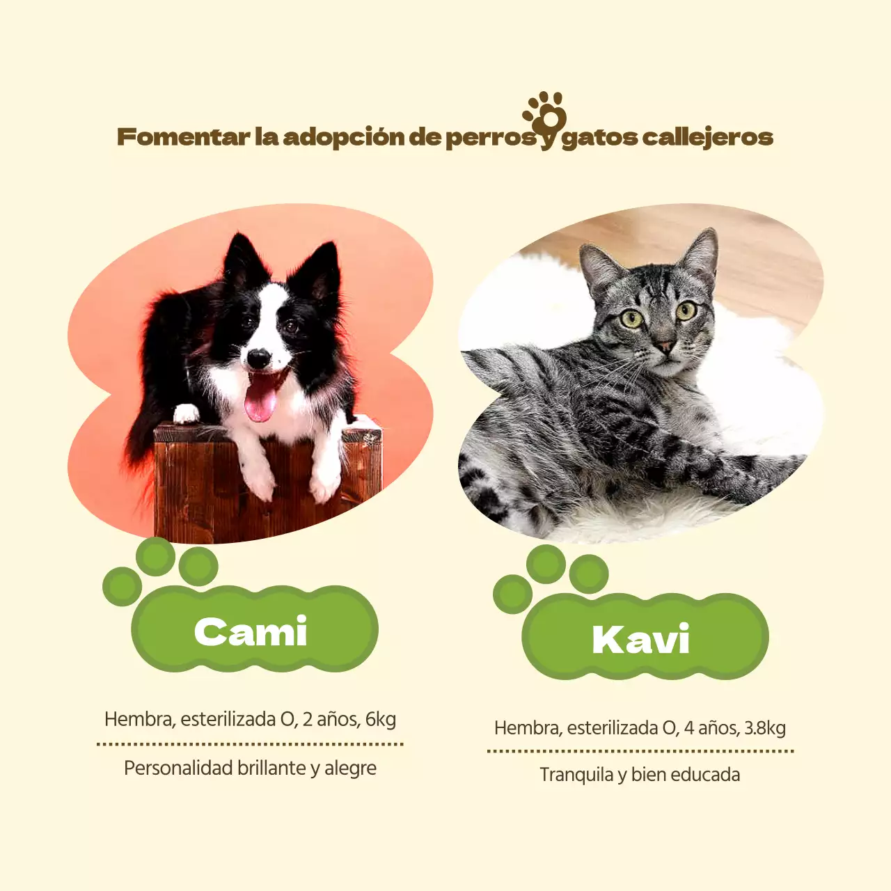 Promover el centro de adopción de mascotas amarillo y verde.