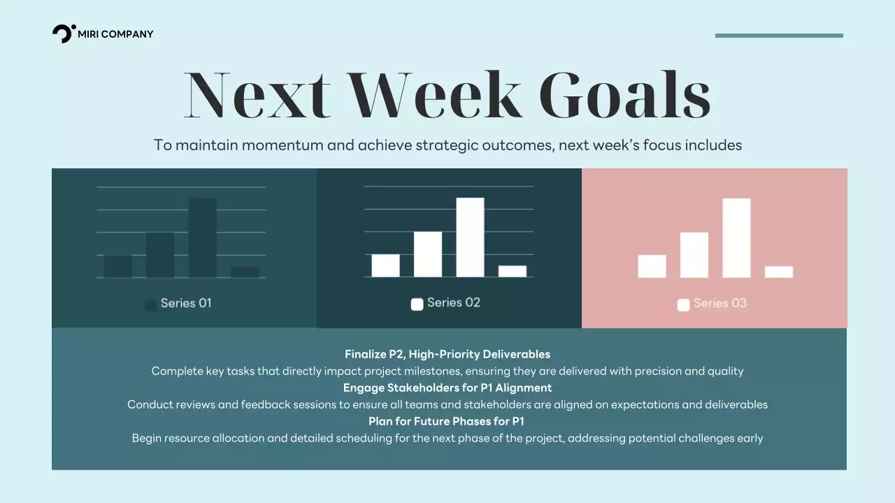 Black Professional Project Report Presentation