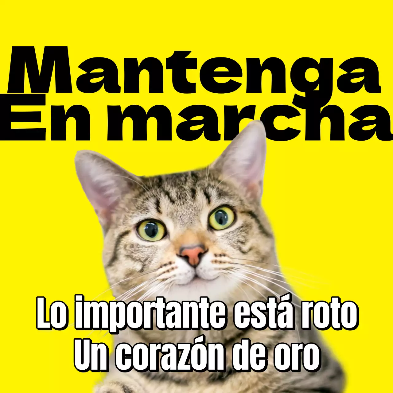 Meme amarillo y negro