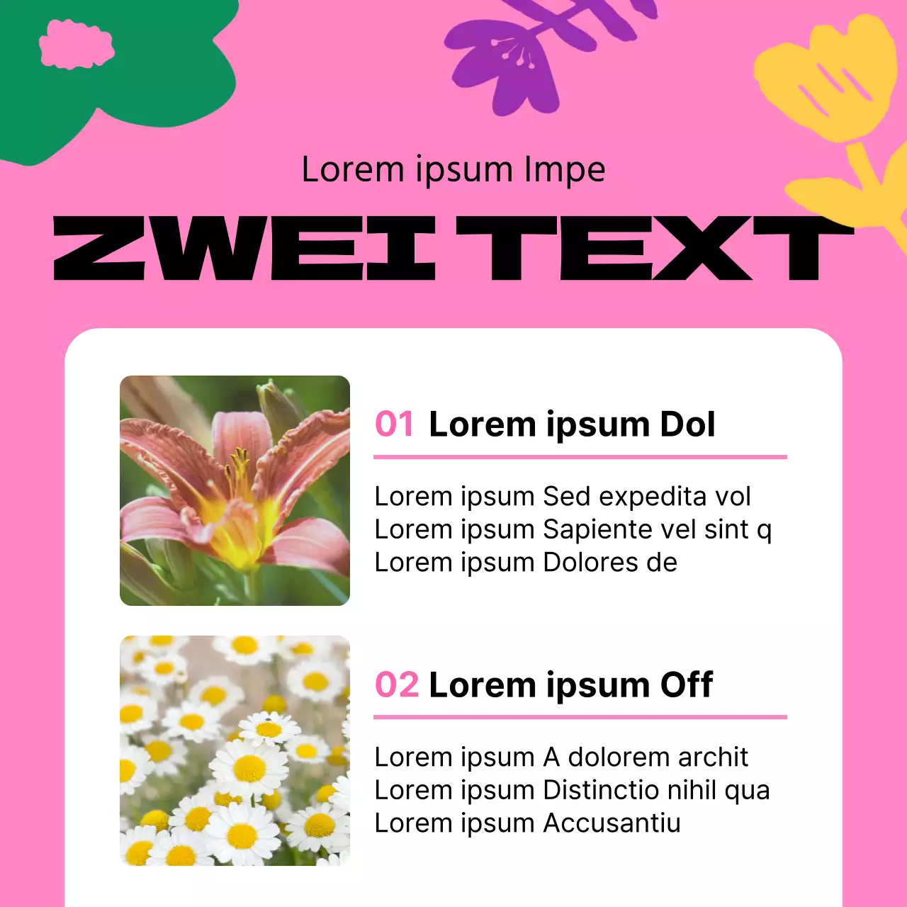 Ein Leitfaden für schöne Frühlingsblumen in Gelb und Rosa