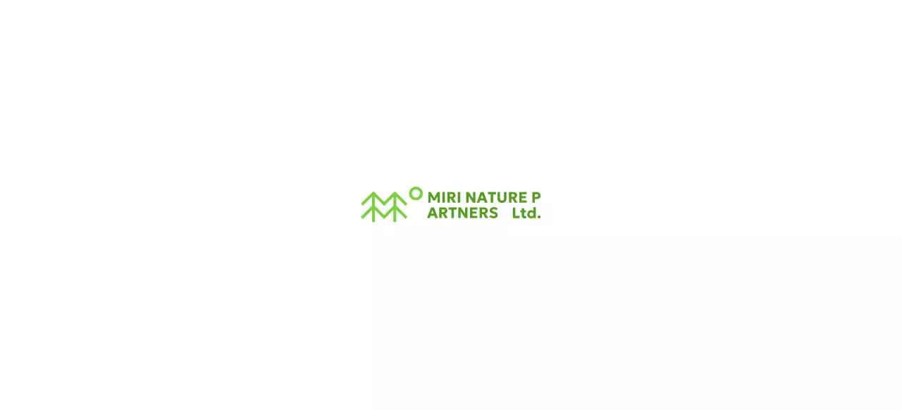 Nature conservation with simple illustrations of trees and green colors