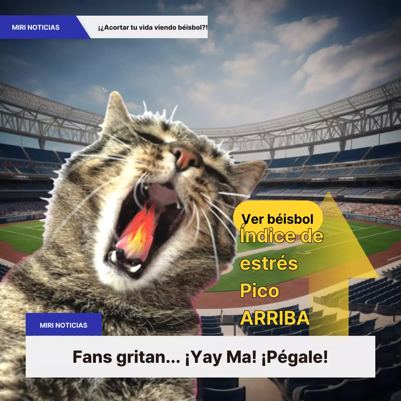 Botella amarilla y azul meme de béisbol @baseballmeme