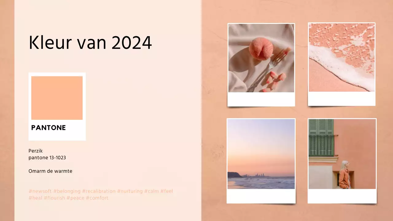 Beige en wit: een elegant kleurentrendrapport