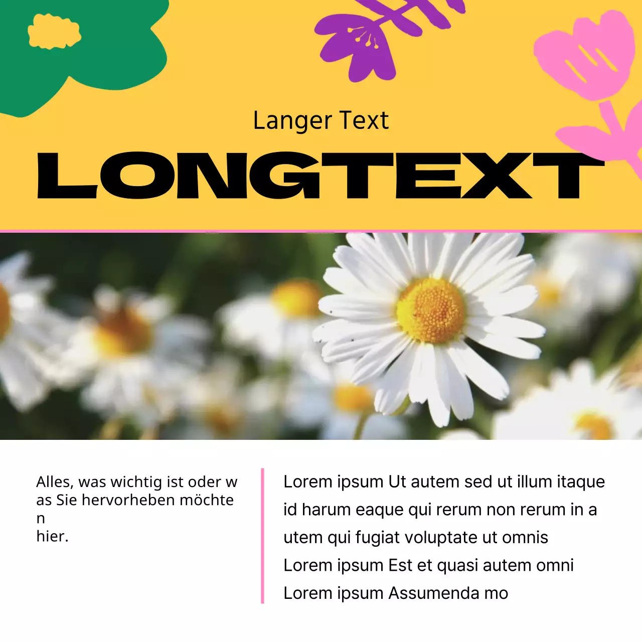 Ein Leitfaden für schöne Frühlingsblumen in Gelb und Rosa