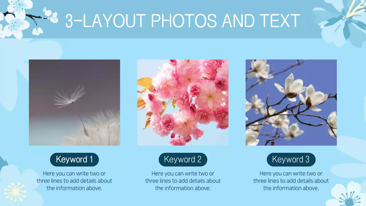 Presentasi Bunga Musim Semi Berwarna Merah Muda