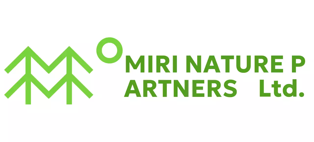 Nature conservation with simple illustrations of trees and green colors