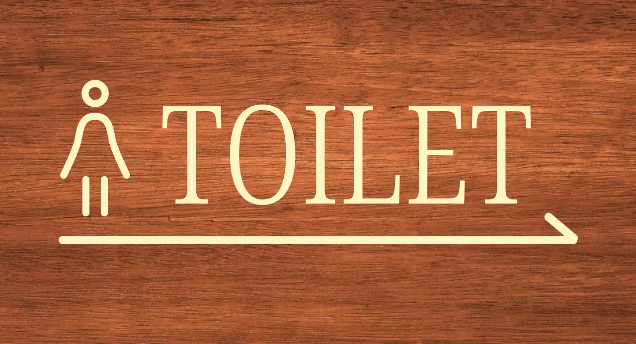 beige vrouw pictogram toilet locatie