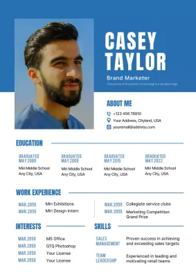A simple white and blue resume description