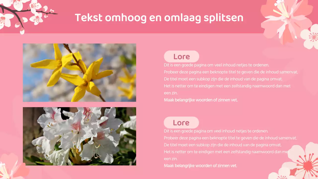 Een mooi lentebloemenplan voor liefde en dankbaarheid in roze en hemelsblauw