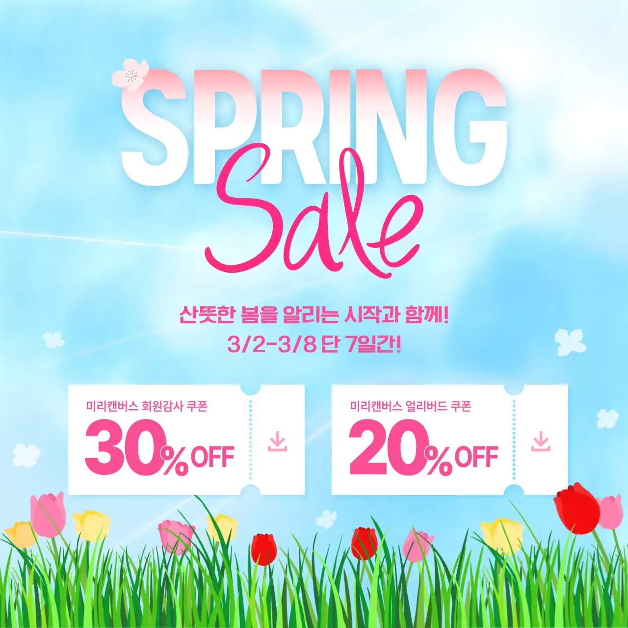 하늘색 봄 하늘배경과 튤립 일러스트 컨셉의 시즌이벤트 홍보물