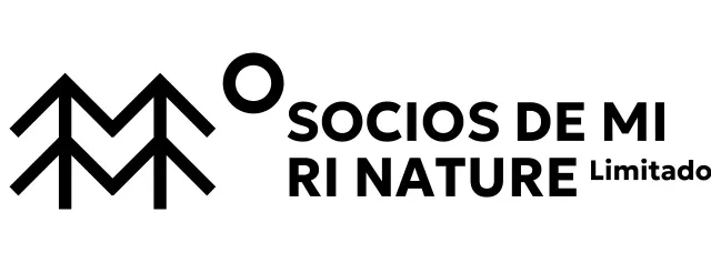 Conservación sencilla de la naturaleza con ilustraciones de árboles