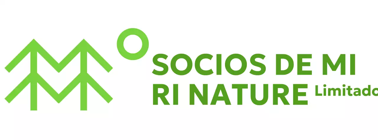 Conservación de la naturaleza con sencillas ilustraciones de árboles y colores verdes