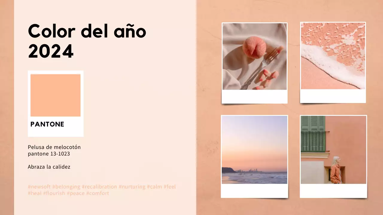 Beige y blanco: un elegante informe de tendencias cromáticas