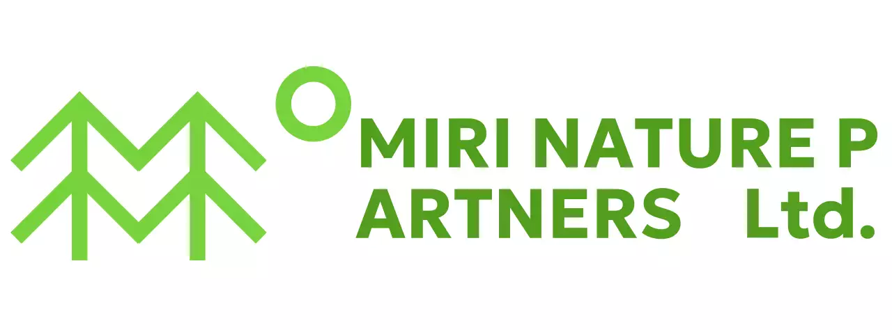 Nature conservation with simple tree illustrations and green colors