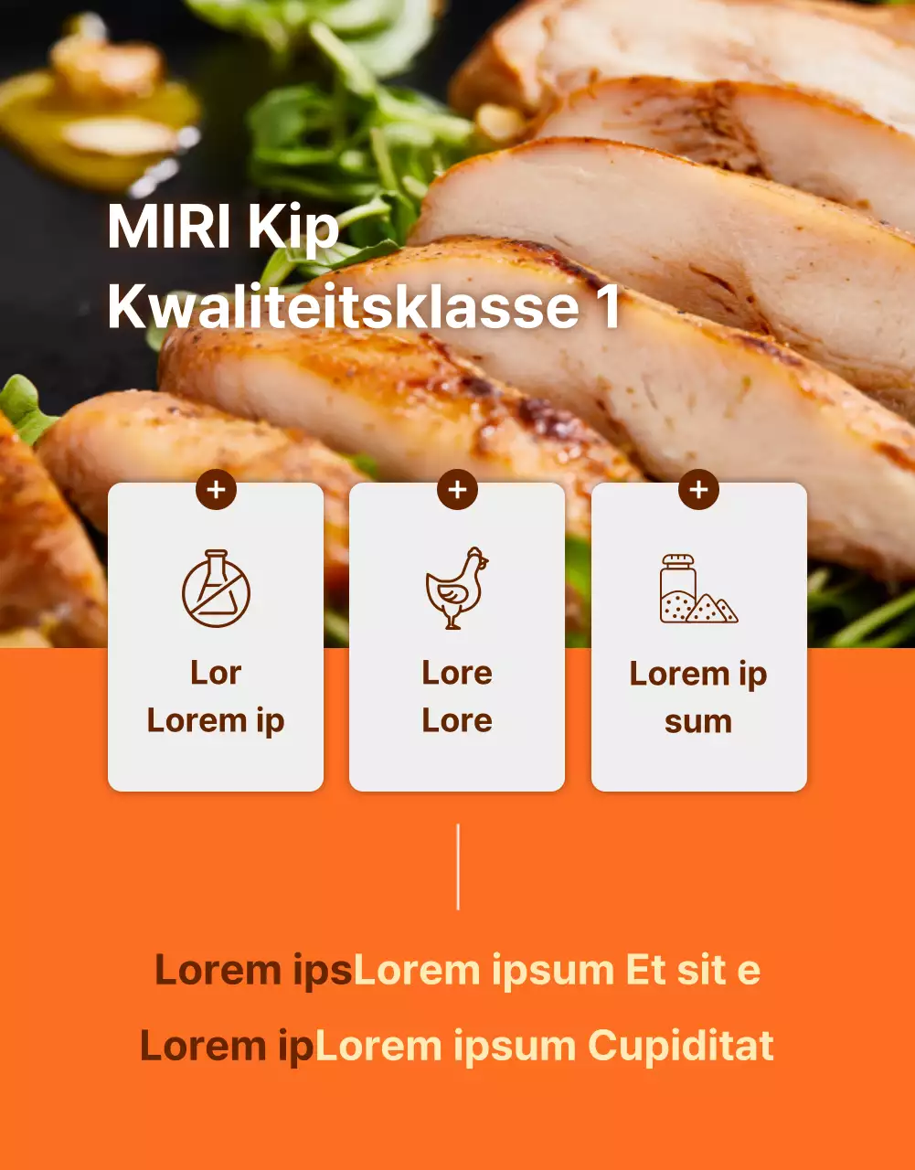 Promoot Simpel Dieet Kippenborstjes in Oranje en Bruin