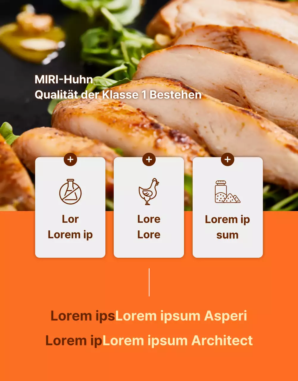 Einfache Diät Hühnerbrüste in Orange und Braun fördern