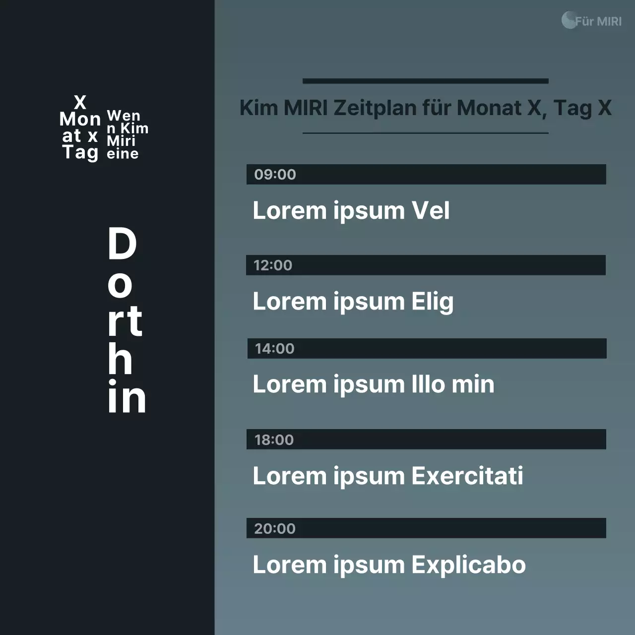 Eine einfache, marineblau-weiße Wahlkampfanzeige