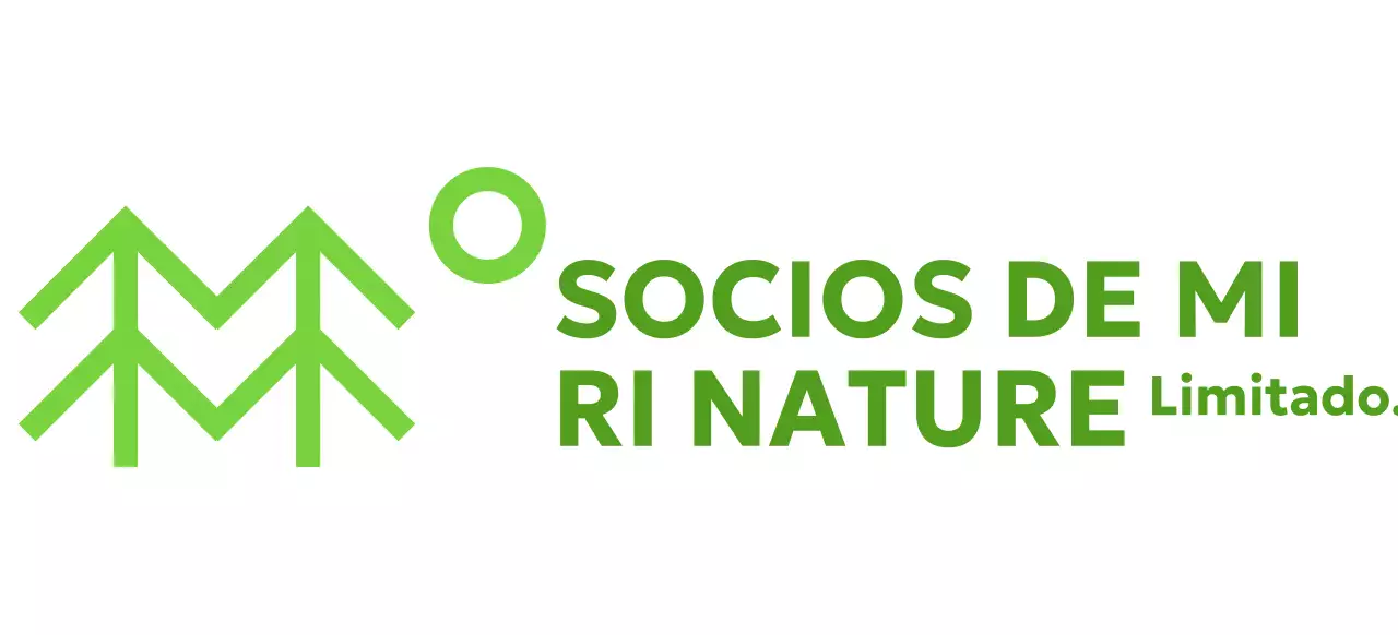 Sencilla conservación de la naturaleza con ilustraciones de árboles y colores verdes