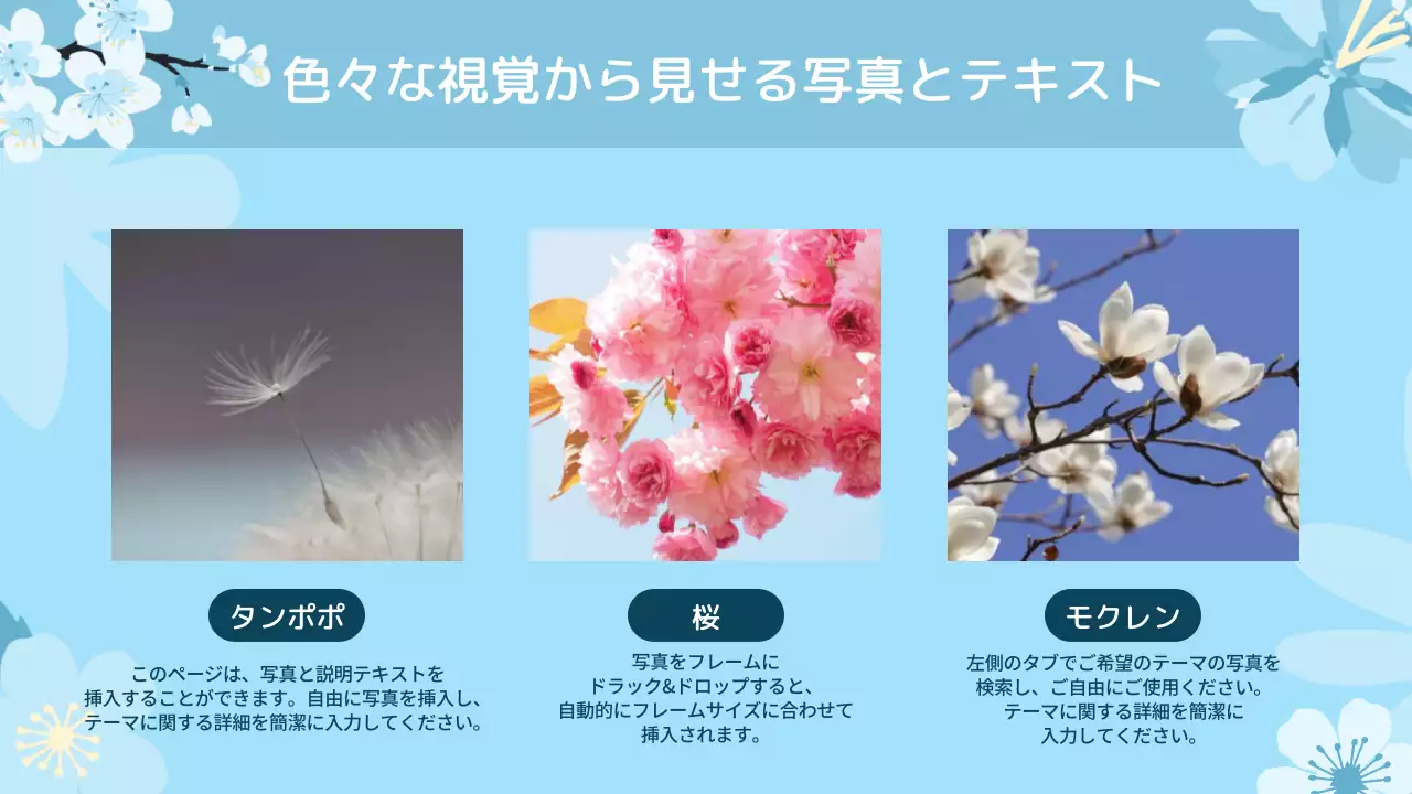 ピンクと水色の可憐な春の愛と感謝の気持ちを込めた春の花企画書