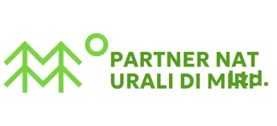 Conservazione della natura con semplici illustrazioni di alberi e colori verdi