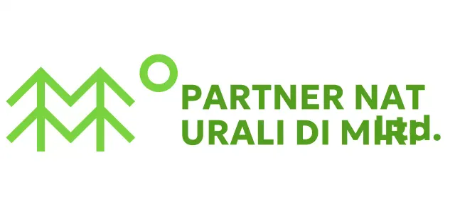 Conservazione della natura con semplici illustrazioni di alberi e colori verdi