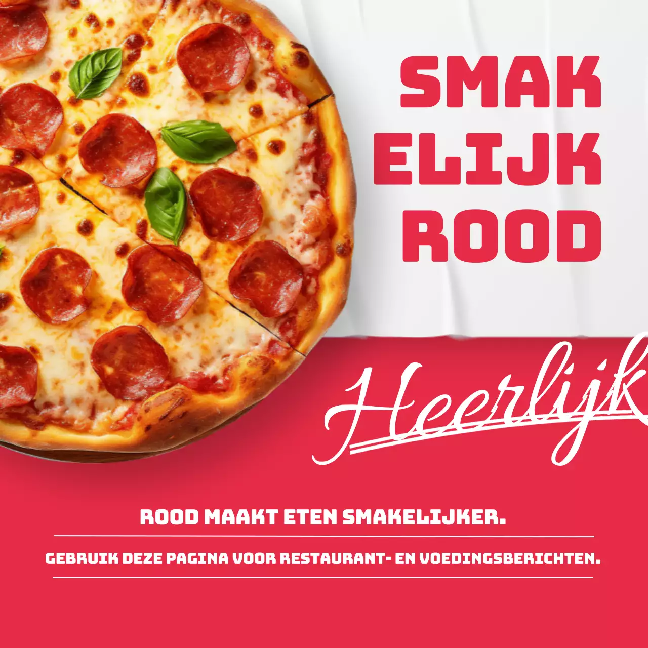 Trendy miniatuurhoes in rood en blauw