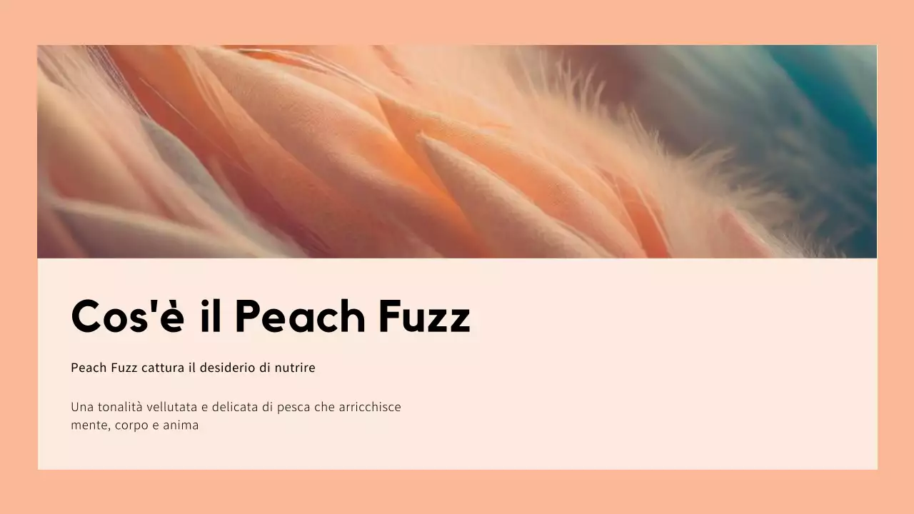 Beige e bianco: un elegante rapporto di tendenza sui colori