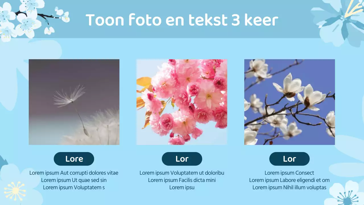 Een mooi lentebloemenplan voor liefde en dankbaarheid in roze en hemelsblauw