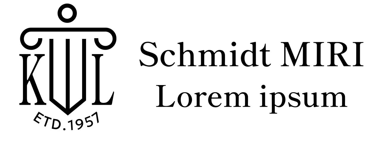 Anwaltskanzlei mit illustriertem Logo und stilvollem Ambiente