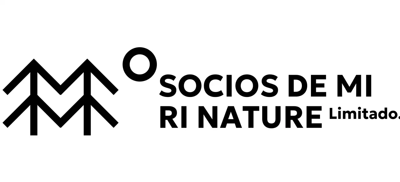 Conservación sencilla de la naturaleza con ilustraciones de árboles