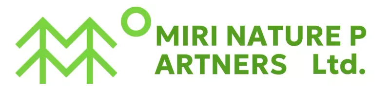 Nature conservation with simple illustrations of trees and green colors