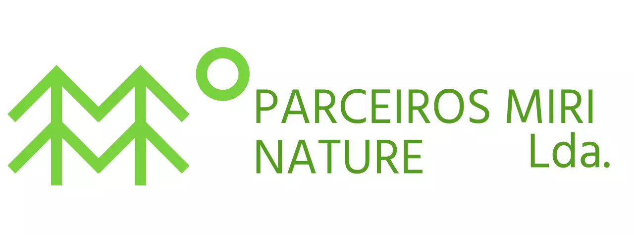 Conservação da natureza com ilustrações simples de árvores e cores verdes